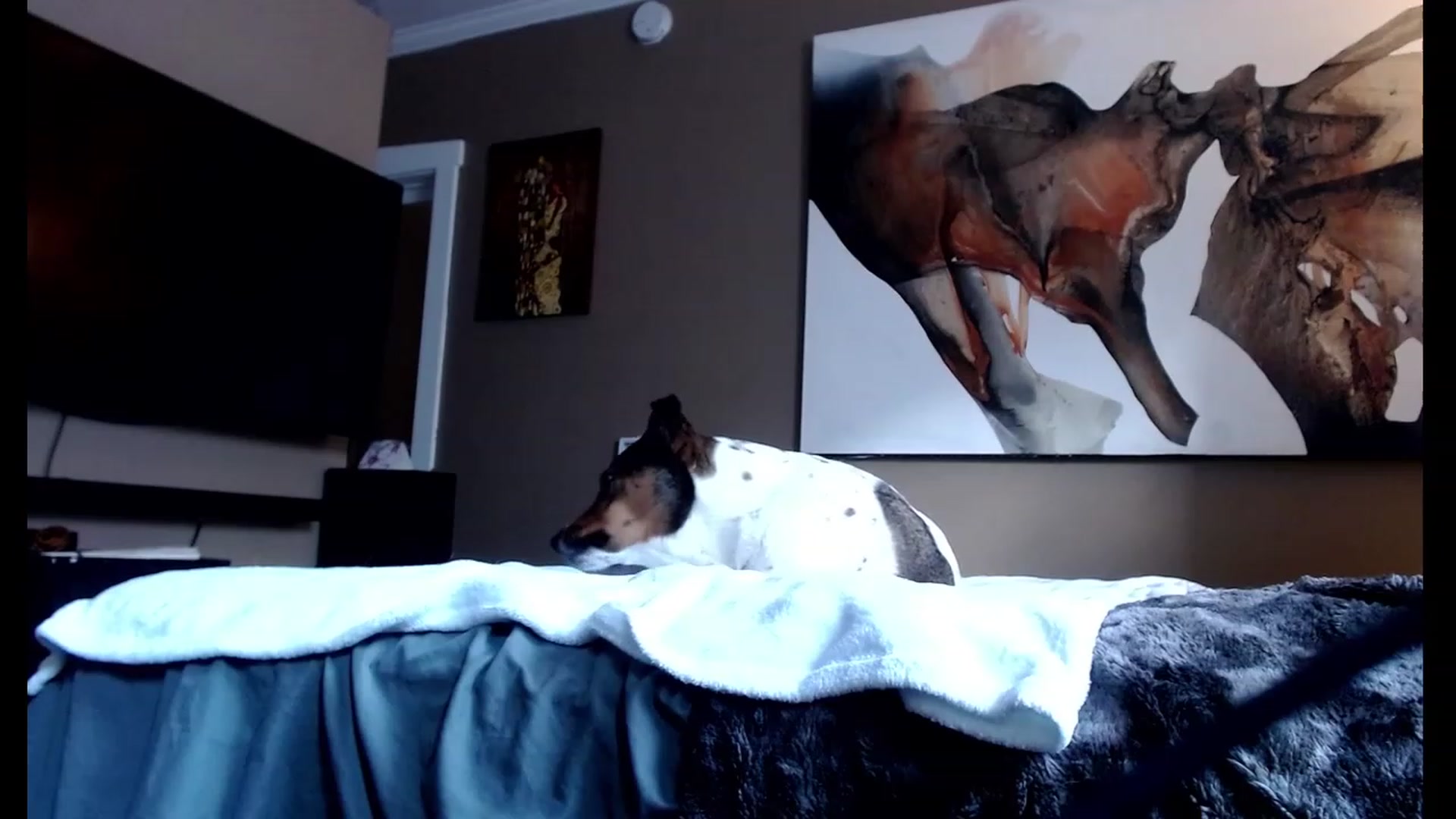 Gallery image thumbnail from VIX_SPY's myfreecams stream on, 09/18/2023, 23:10 image 1 of 20