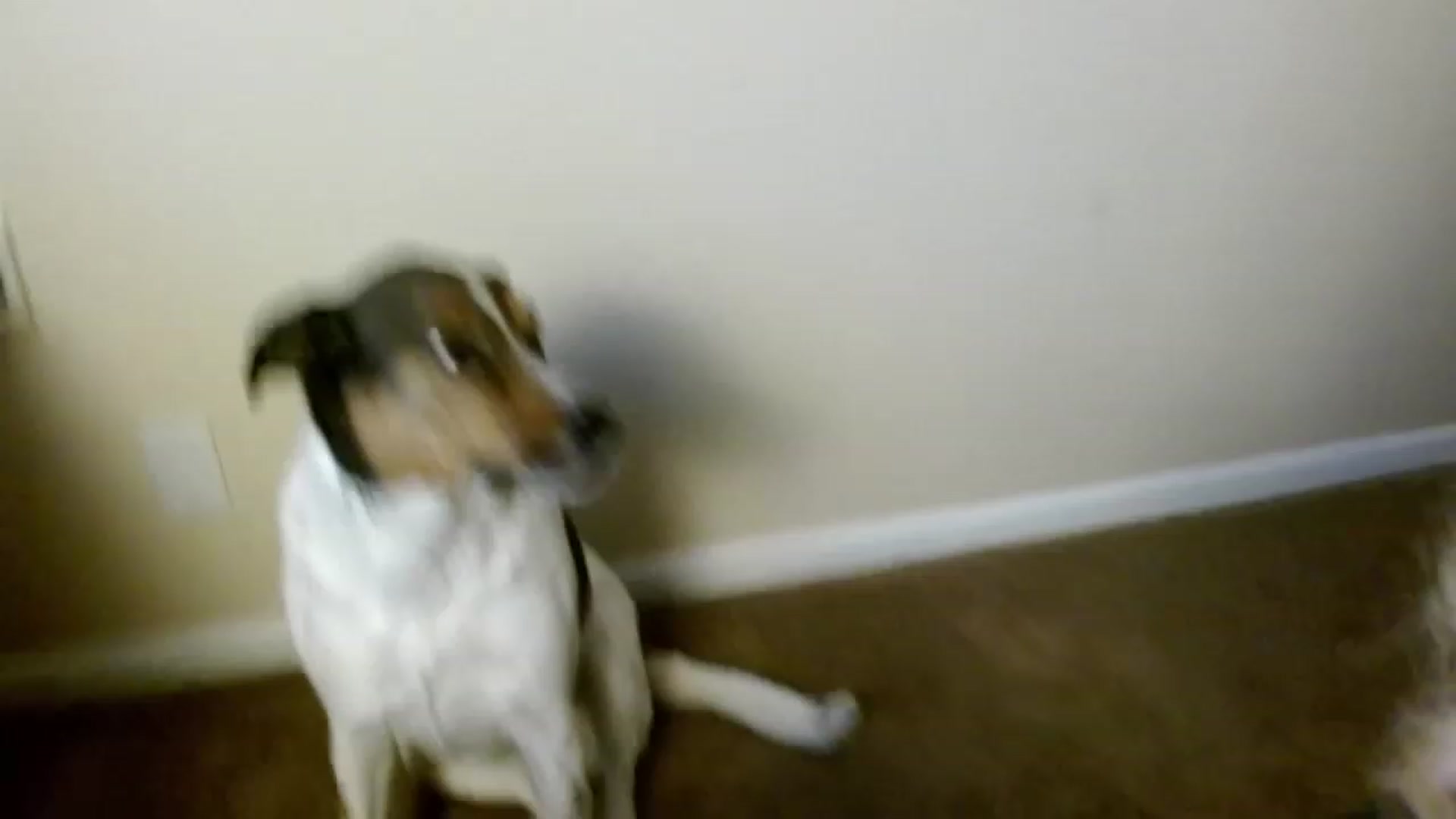 Gallery image thumbnail from VIX_SPY's myfreecams stream on, 12/29/2023, 21:52 image 13 of 20