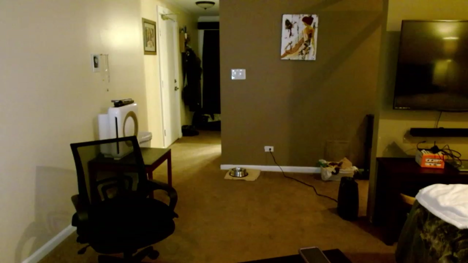 Gallery image thumbnail from VIX_SPY's myfreecams stream on, 01/25/2024, 01:07 image 7 of 20
