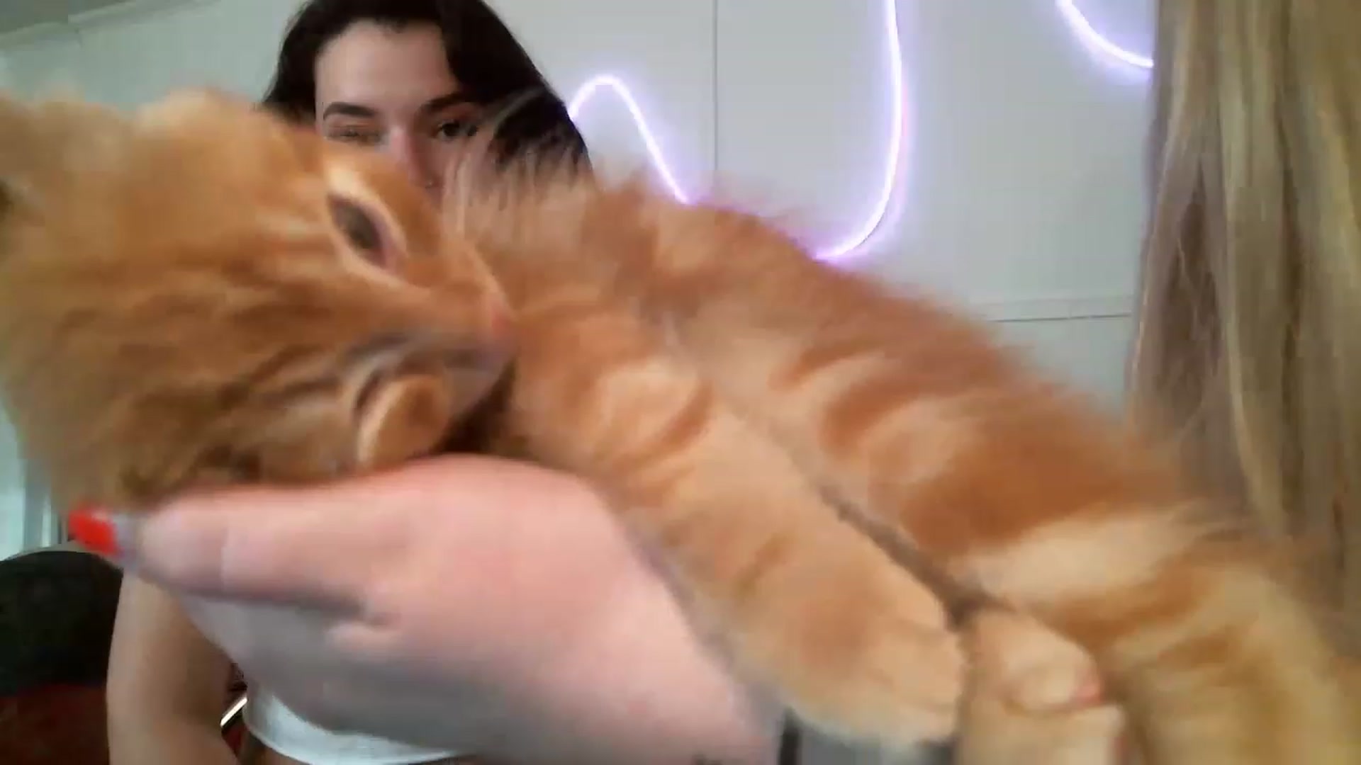 Gallery image thumbnail from Vail_Fox's myfreecams stream on, 06/20/2023, 24:26 image 8 of 20