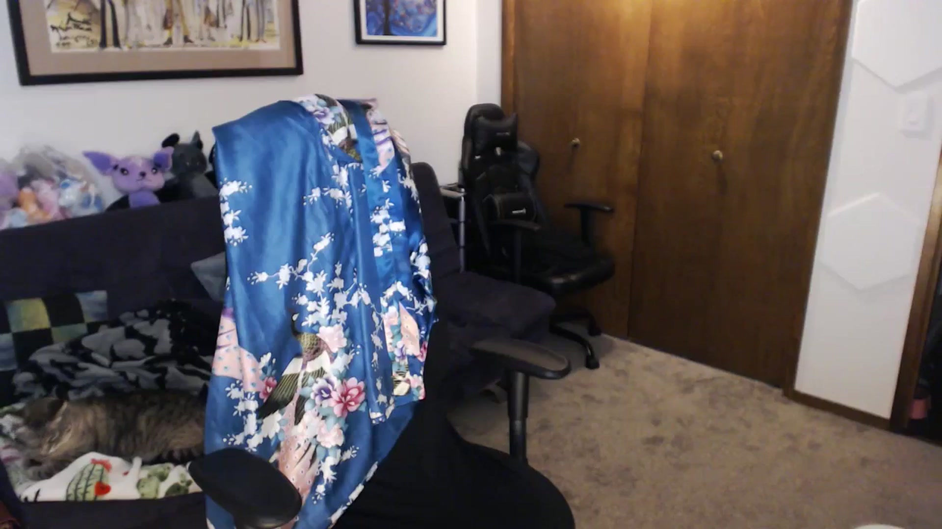 Gallery image thumbnail from Vampette's myfreecams stream on, 11/12/2023, 23:34 image 19 of 20