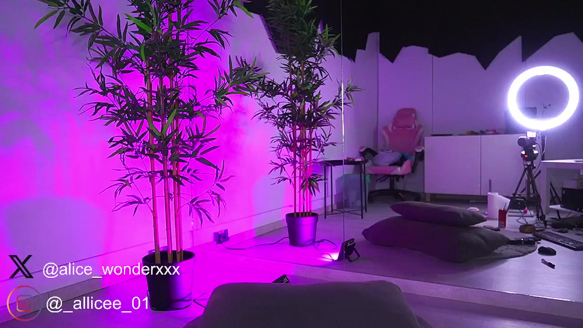 Gallery image thumbnail from VanesaSimon's myfreecams stream on, 03/27/2025, 14:16 image 11 of 20