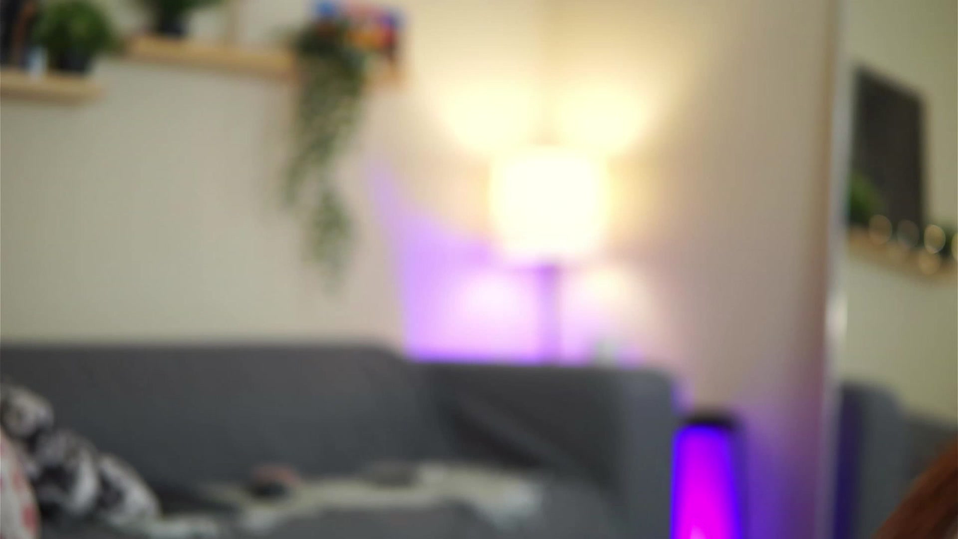Gallery image thumbnail from VanessaAllen's myfreecams stream on, 01/16/2023, 20:08 image 14 of 20