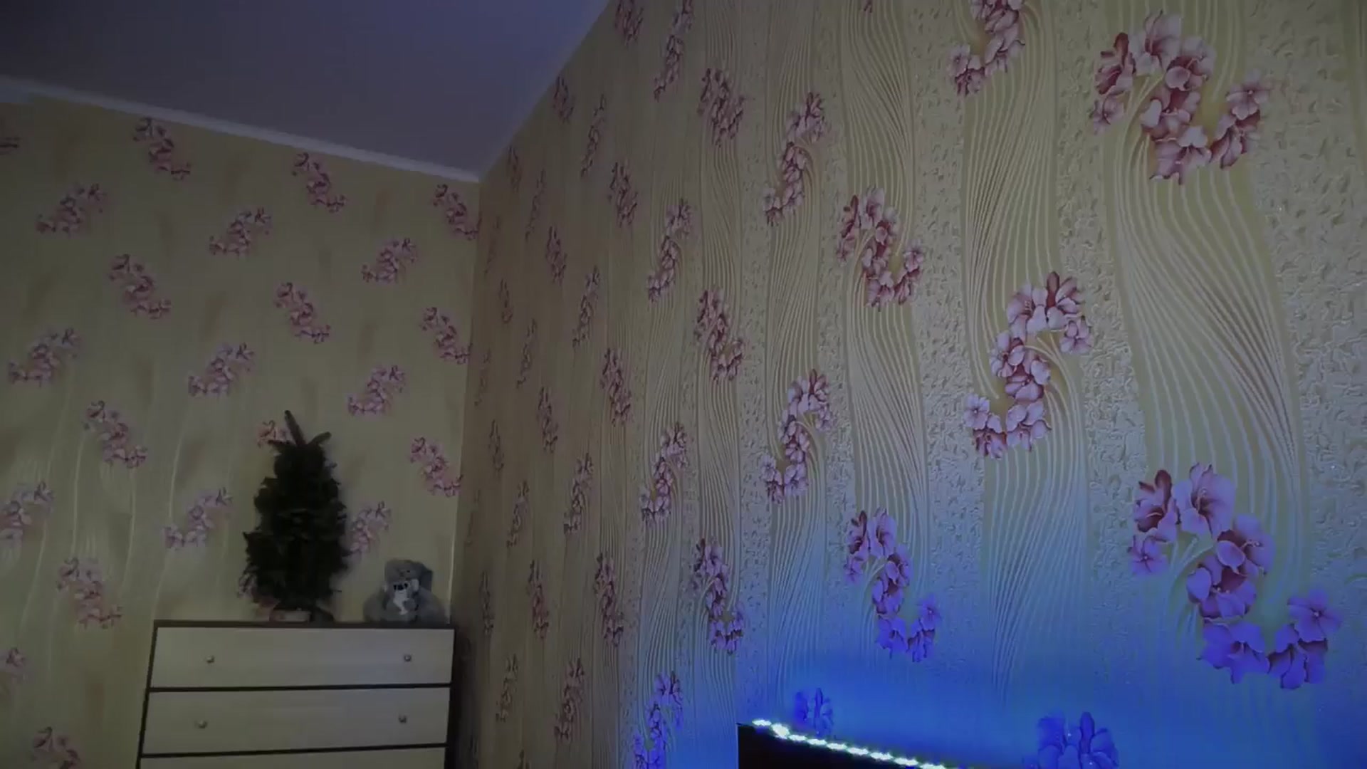 Gallery image thumbnail from VanessaWinn's myfreecams stream on, 12/31/2024, 07:44 image 5 of 20