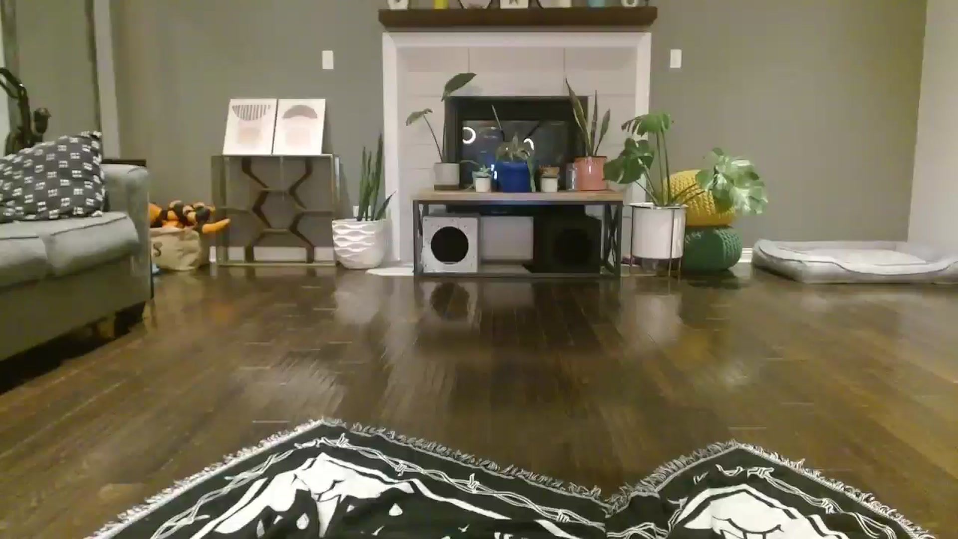 Gallery image thumbnail from Vanessawildly's myfreecams stream on, 10/27/2025, 05:46 image 5 of 20
