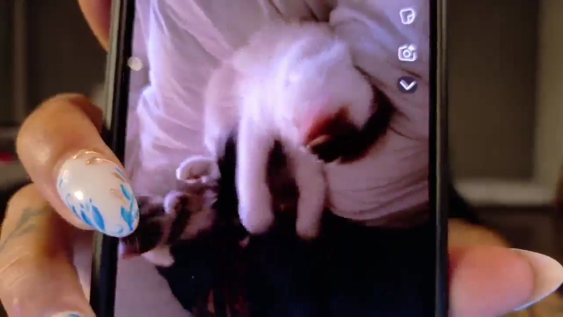 Gallery image thumbnail from Vanessawildly's myfreecams stream on, 11/23/2025, 06:31 image 7 of 20