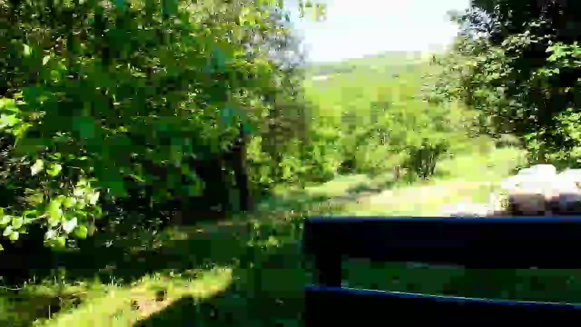 Gallery image thumbnail from Vanillawin's myfreecams stream on, 05/31/2025, 13:25 image 20 of 20