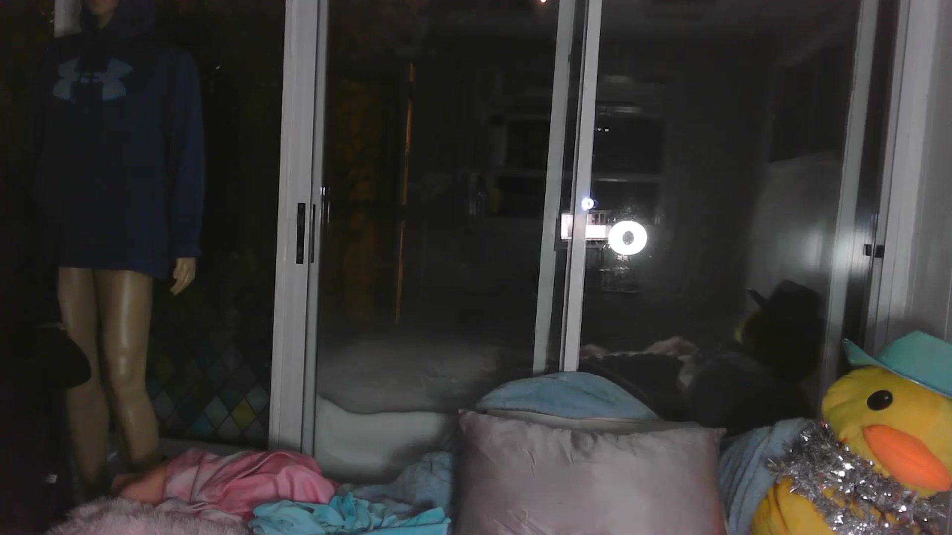 Gallery image thumbnail from VantaBee's myfreecams stream on, 01/31/2026, 04:42 image 11 of 20