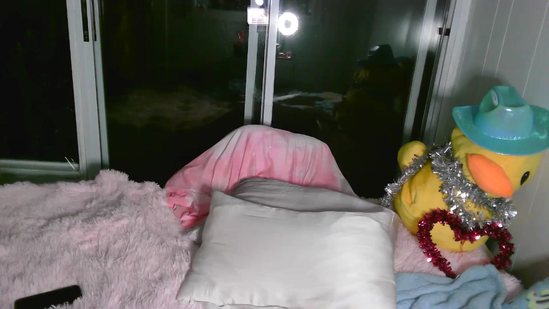 Gallery image thumbnail from VantaBee's myfreecams stream on, 05/02/2026, 05:58 image 9 of 20