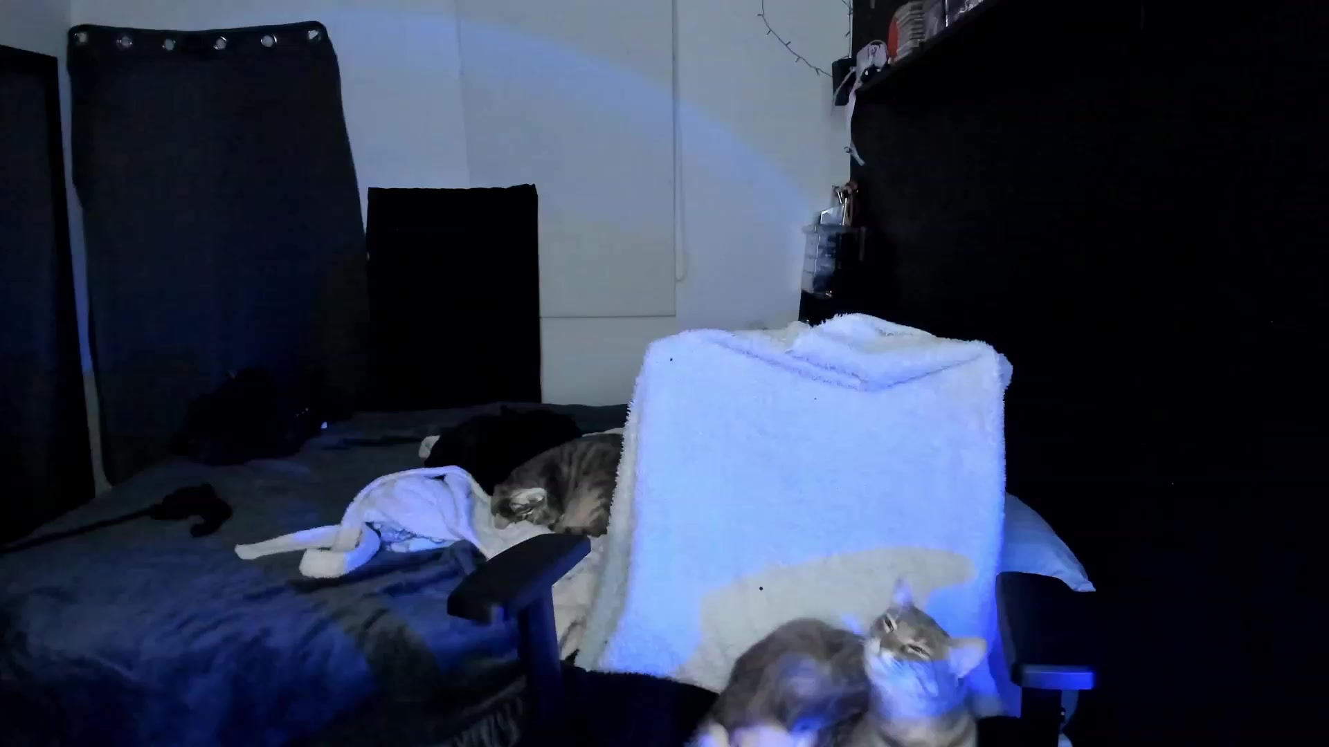 Gallery image thumbnail from VelvetSarcasm's myfreecams stream on, 08/19/2023, 04:56 image 6 of 20
