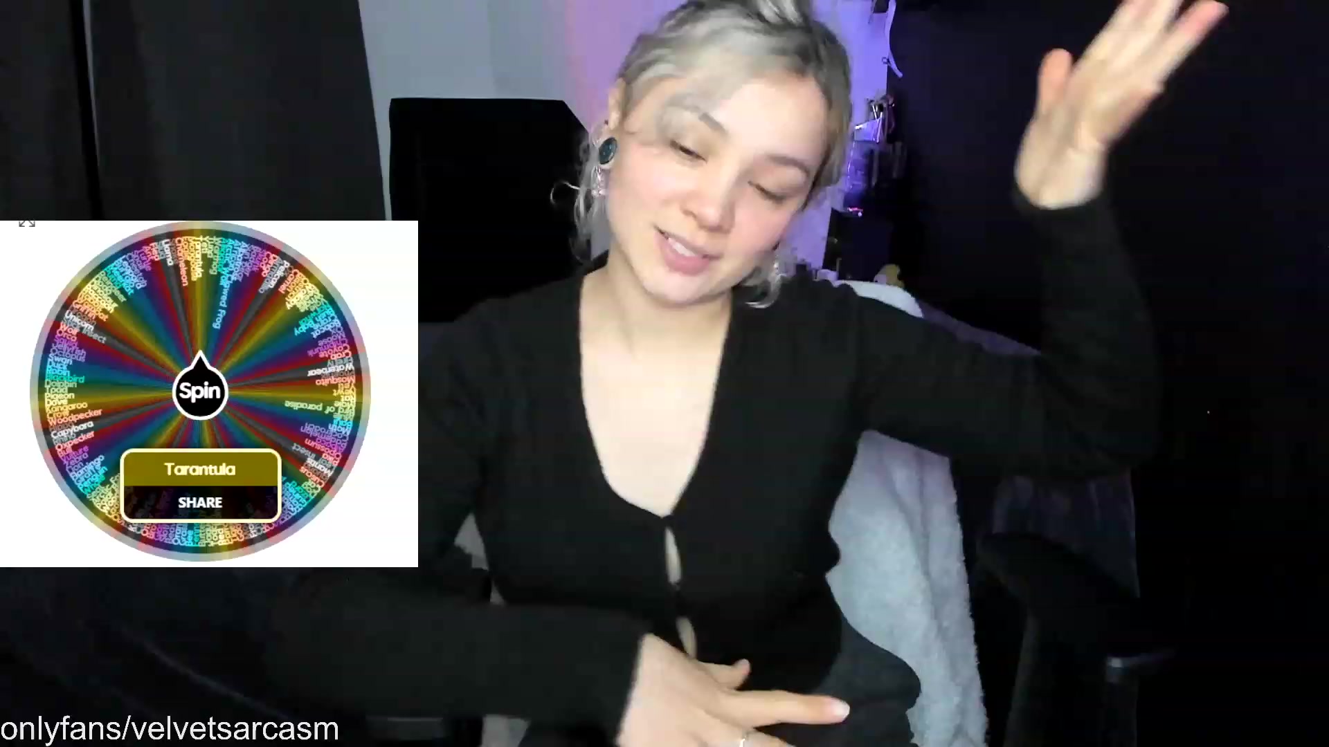 Gallery image thumbnail from VelvetSarcasm's myfreecams stream on, 09/05/2023, 04:23 image 8 of 20