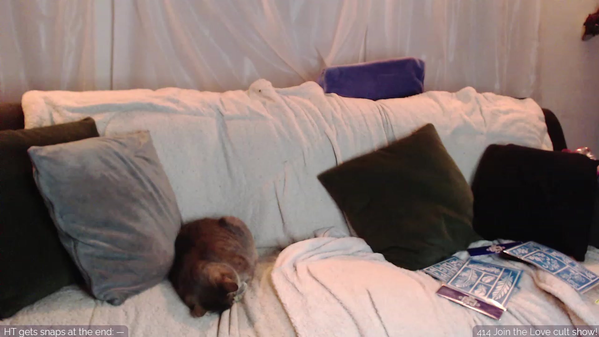 Gallery image thumbnail from VelvetSarcasm's myfreecams stream on, 03/04/2024, 06:56 image 4 of 20