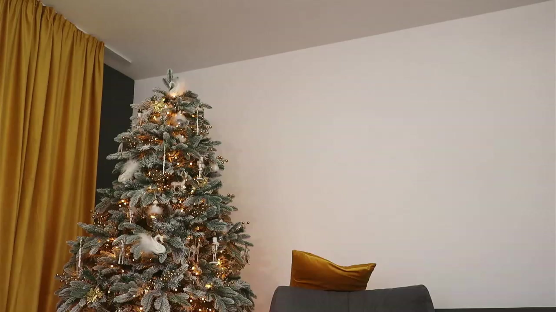 Gallery image thumbnail from VelvettAngel's myfreecams stream on, 12/11/2023, 14:09 image 20 of 20