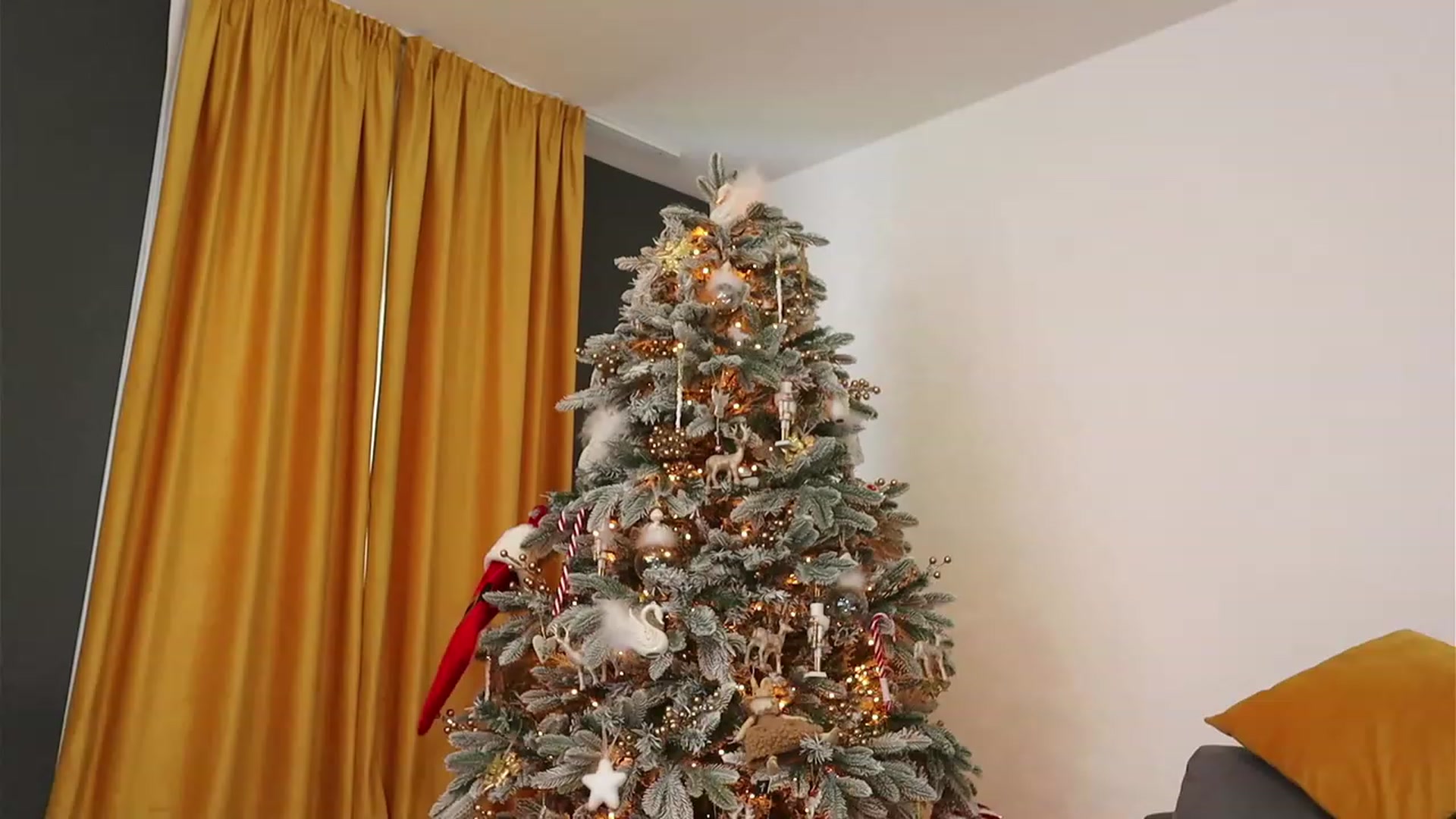 Gallery image thumbnail from VelvettAngel's myfreecams stream on, 12/24/2023, 08:18 image 12 of 20