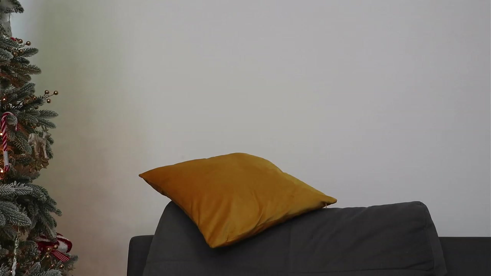 Gallery image thumbnail from VelvettAngel's myfreecams stream on, 12/24/2023, 12:44 image 1 of 20