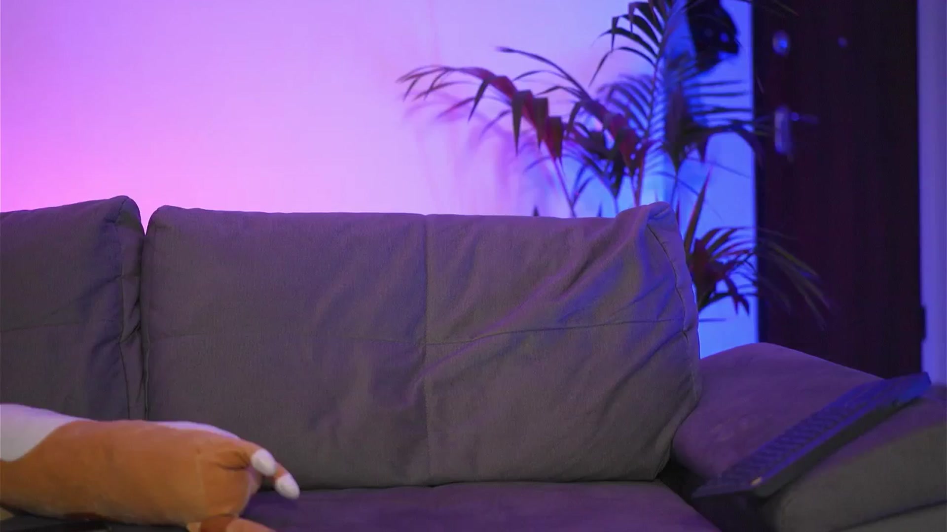 Gallery image thumbnail from VelvettAngel's myfreecams stream on, 09/10/2024, 09:53 image 16 of 20