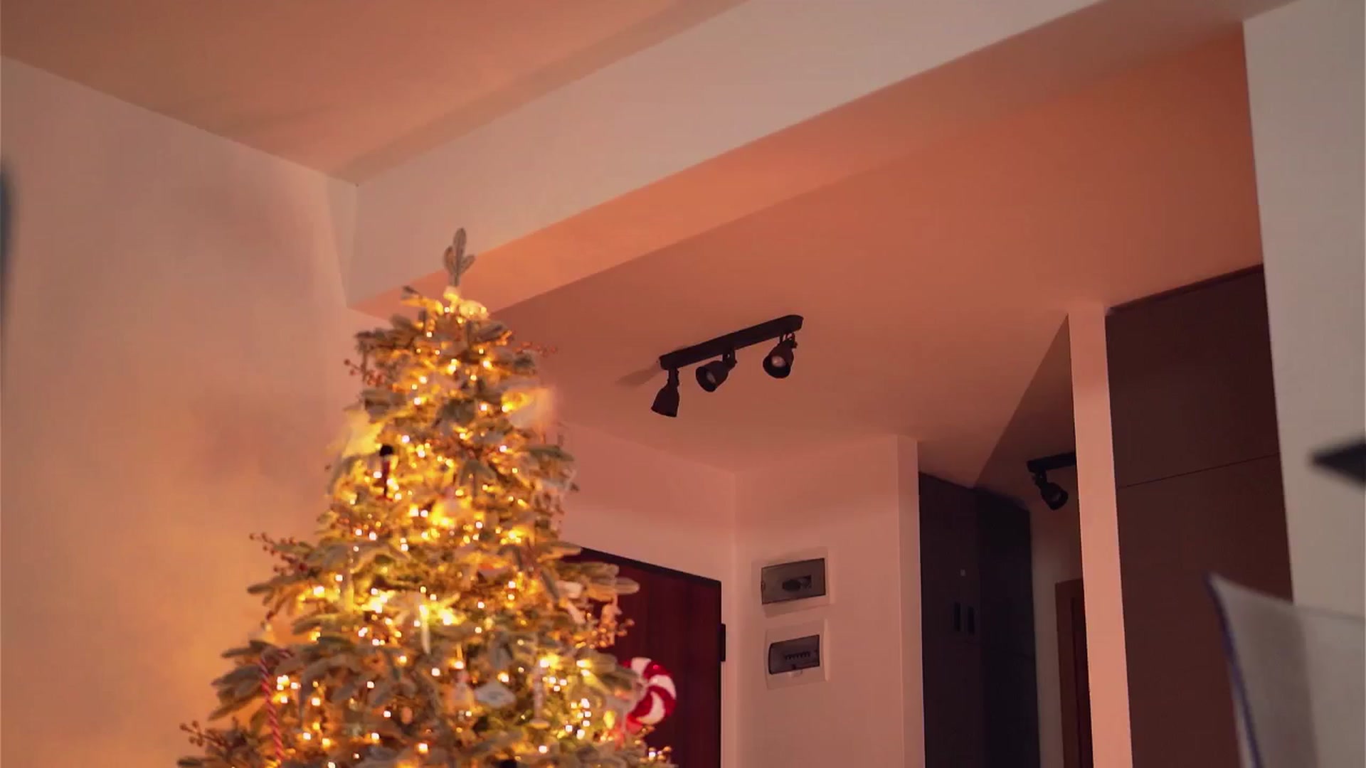 Gallery image thumbnail from VelvettAngel's myfreecams stream on, 12/07/2024, 18:13 image 10 of 20