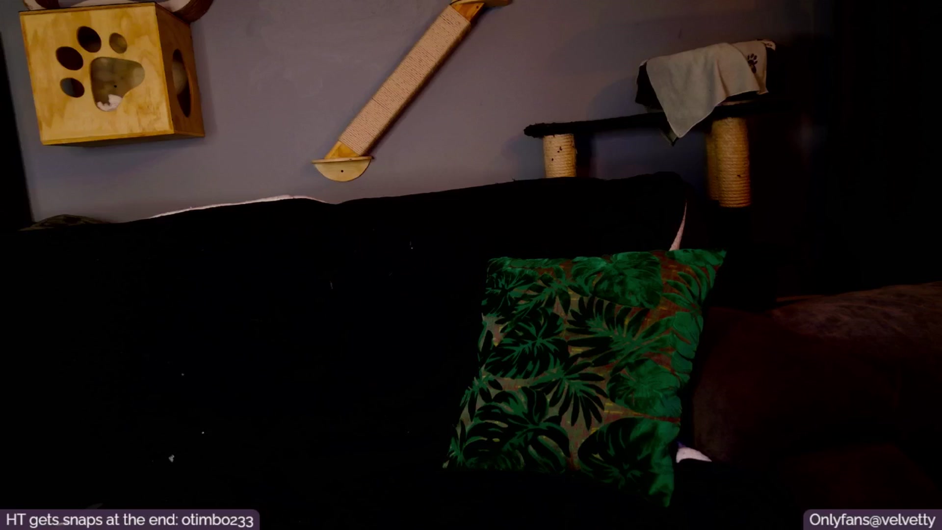 Gallery image thumbnail from Velvetty's myfreecams stream on, 01/22/2025, 06:07 image 17 of 20