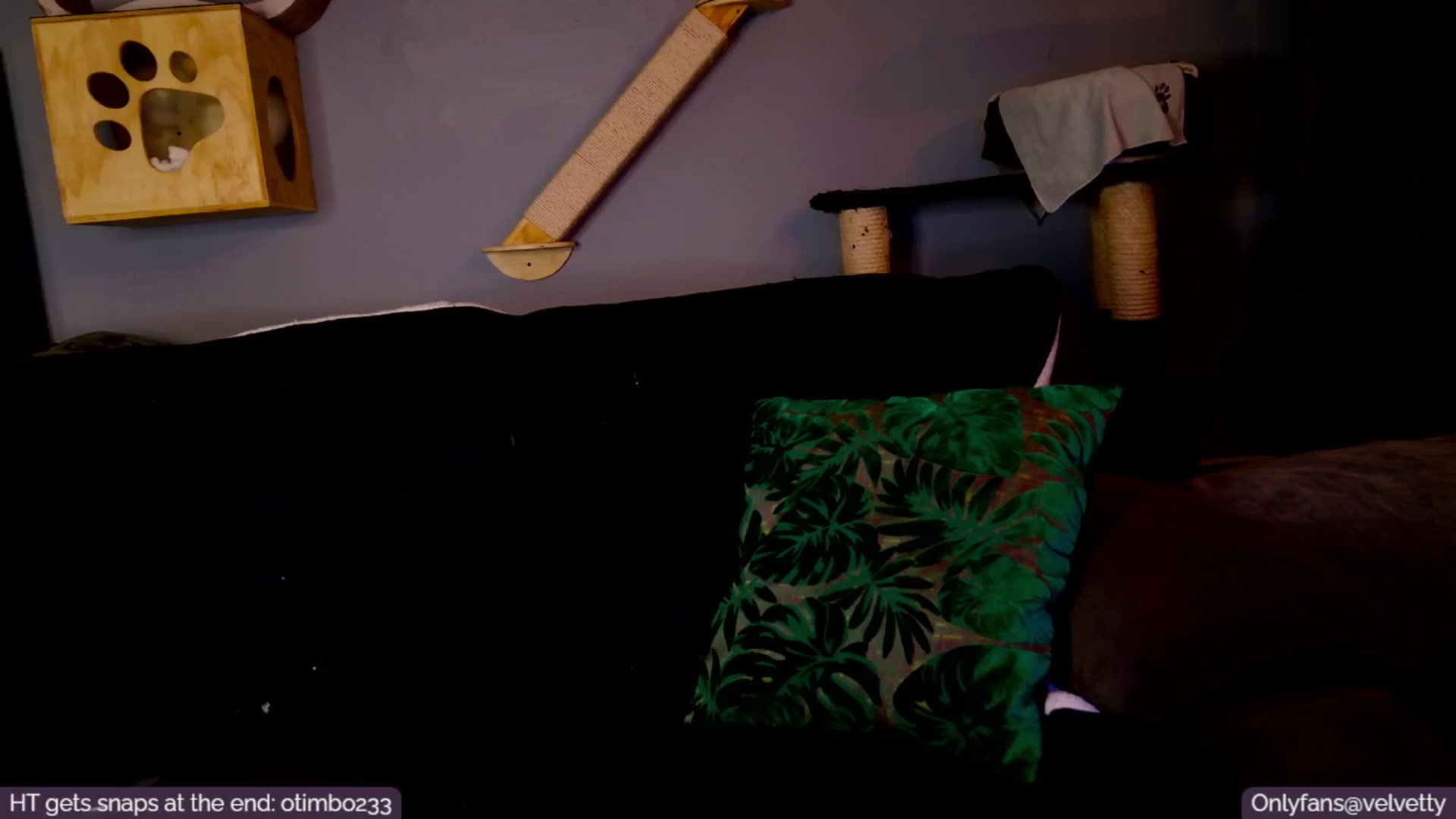 Gallery image thumbnail from Velvetty's myfreecams stream on, 01/22/2025, 06:07 image 16 of 20
