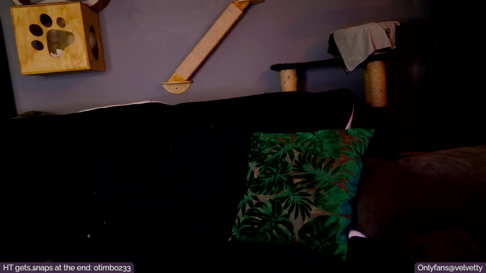 Gallery image thumbnail from Velvetty's myfreecams stream on, 01/22/2025, 06:07 image 18 of 20