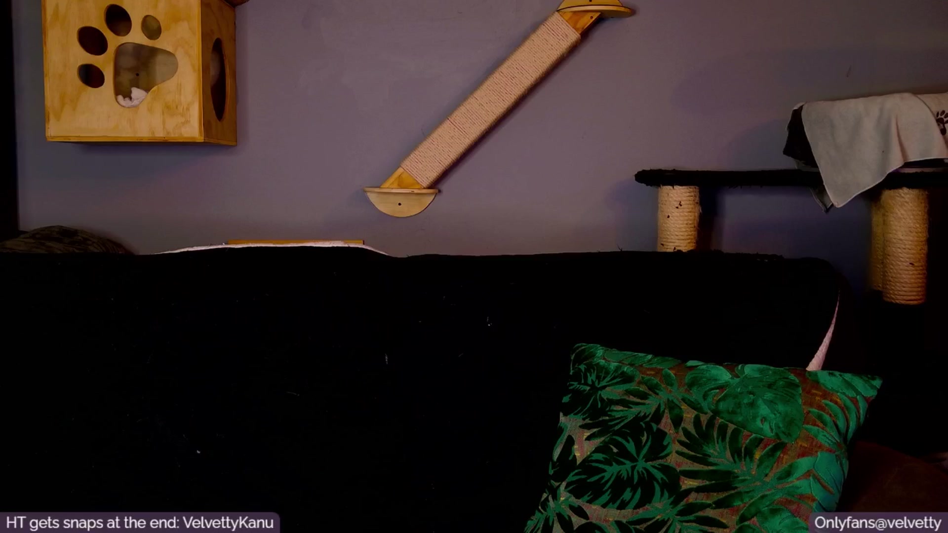 Gallery image thumbnail from Velvetty's myfreecams stream on, 01/22/2025, 06:56 image 17 of 20