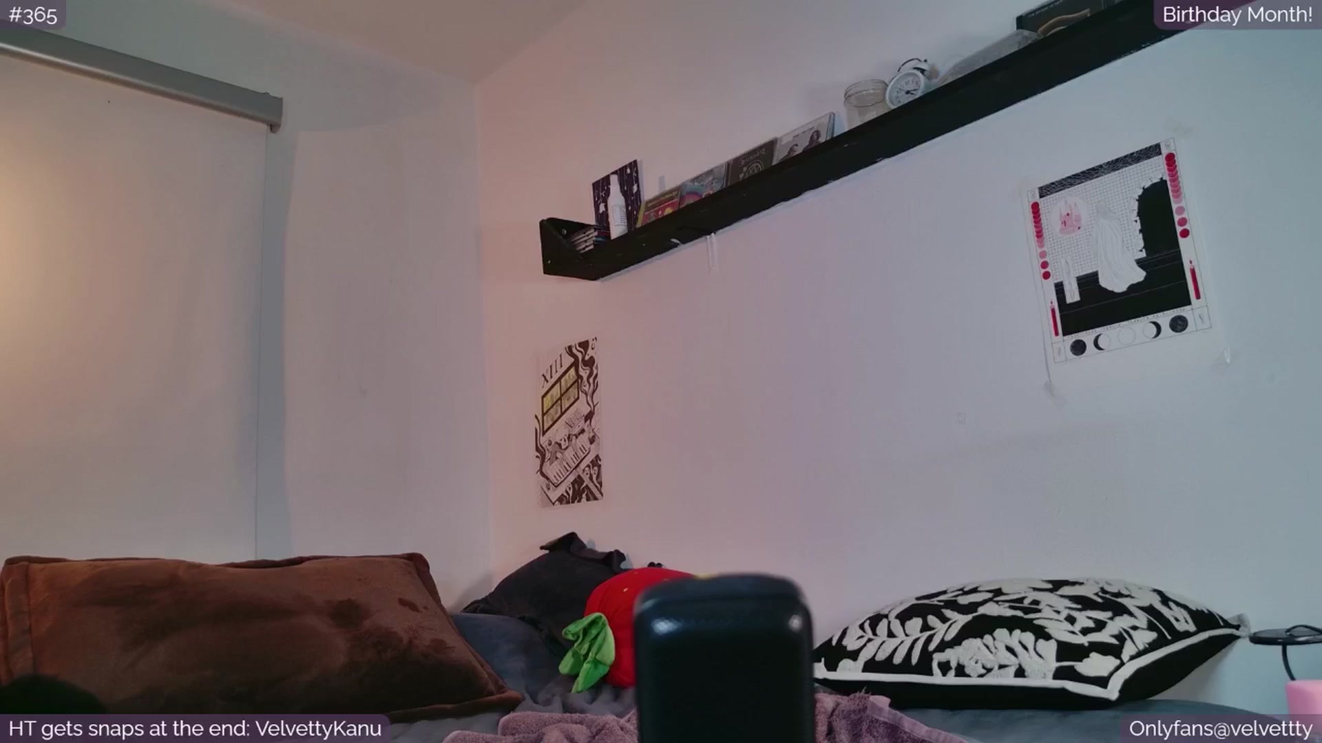 Gallery image thumbnail from Velvetty's myfreecams stream on, 08/11/2025, 07:12 image 11 of 20