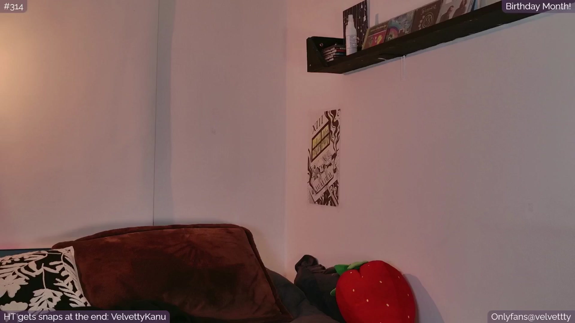 Gallery image thumbnail from Velvetty's myfreecams stream on, 08/13/2025, 06:02 image 15 of 20