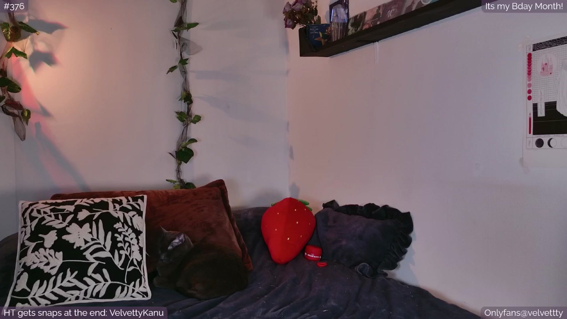 Gallery image thumbnail from Velvetty's myfreecams stream on, 08/27/2025, 06:06 image 7 of 20