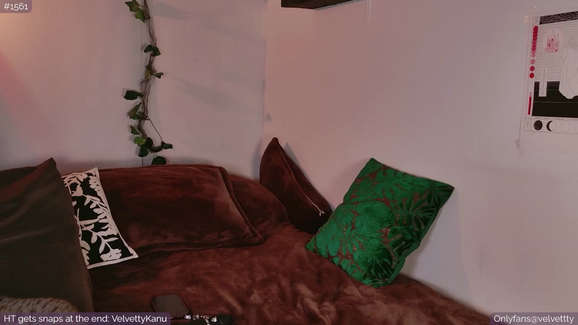 Gallery image thumbnail from Velvetty's myfreecams stream on, 09/05/2025, 05:01 image 20 of 20