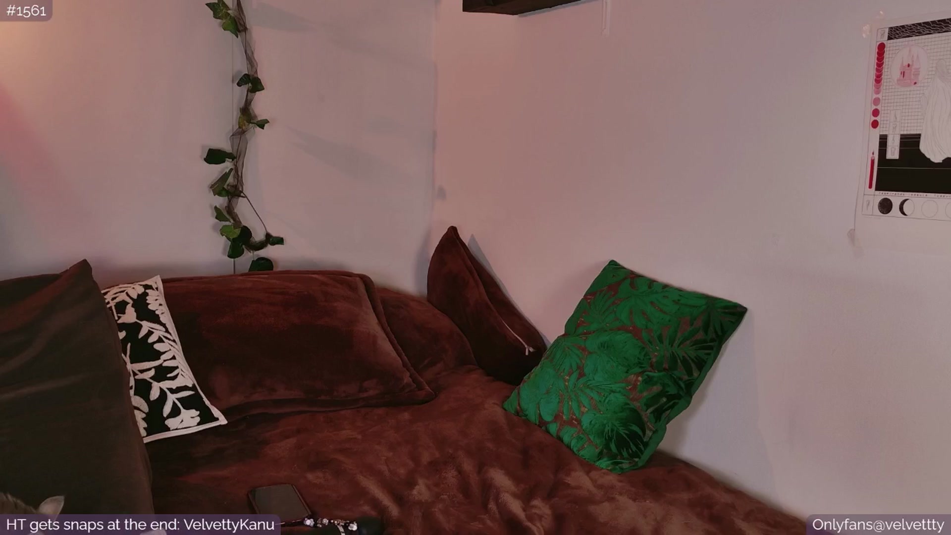 Gallery image thumbnail from Velvetty's myfreecams stream on, 09/05/2025, 05:01 image 15 of 20