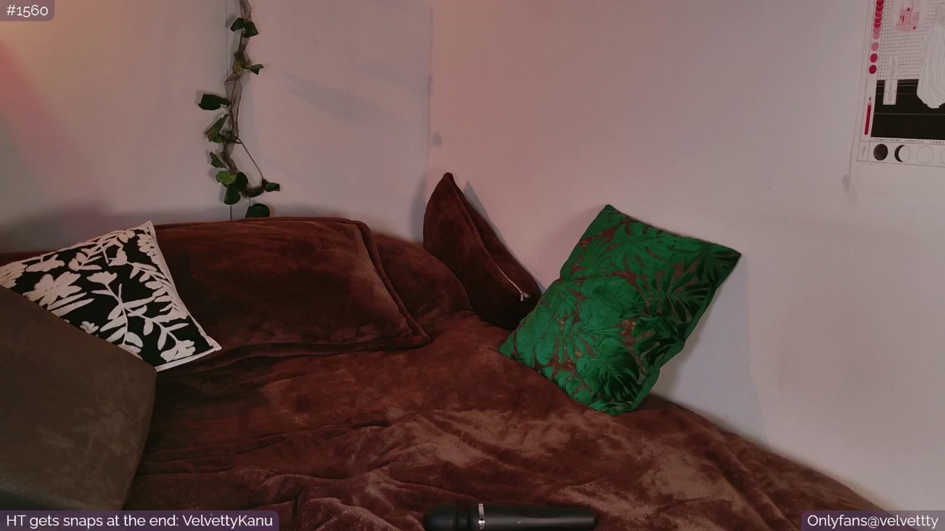 Gallery image thumbnail from Velvetty's myfreecams stream on, 09/05/2025, 05:01 image 5 of 20