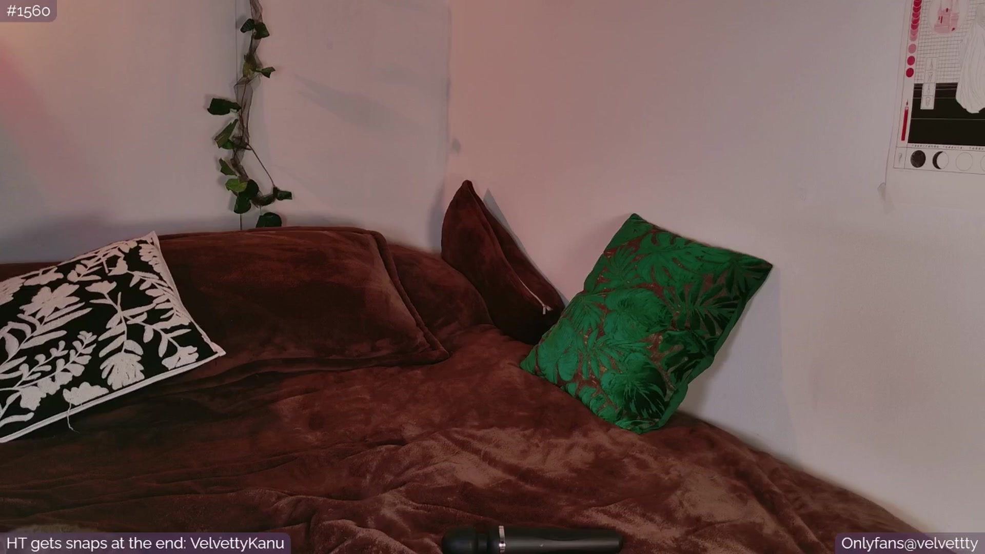 Gallery image thumbnail from Velvetty's myfreecams stream on, 09/05/2025, 05:01 image 4 of 20