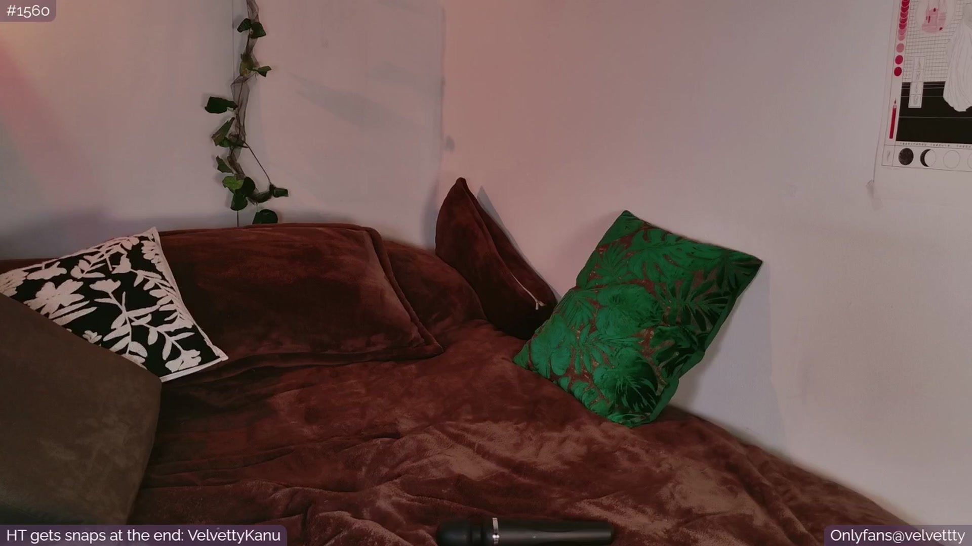 Gallery image thumbnail from Velvetty's myfreecams stream on, 09/05/2025, 05:01 image 7 of 20