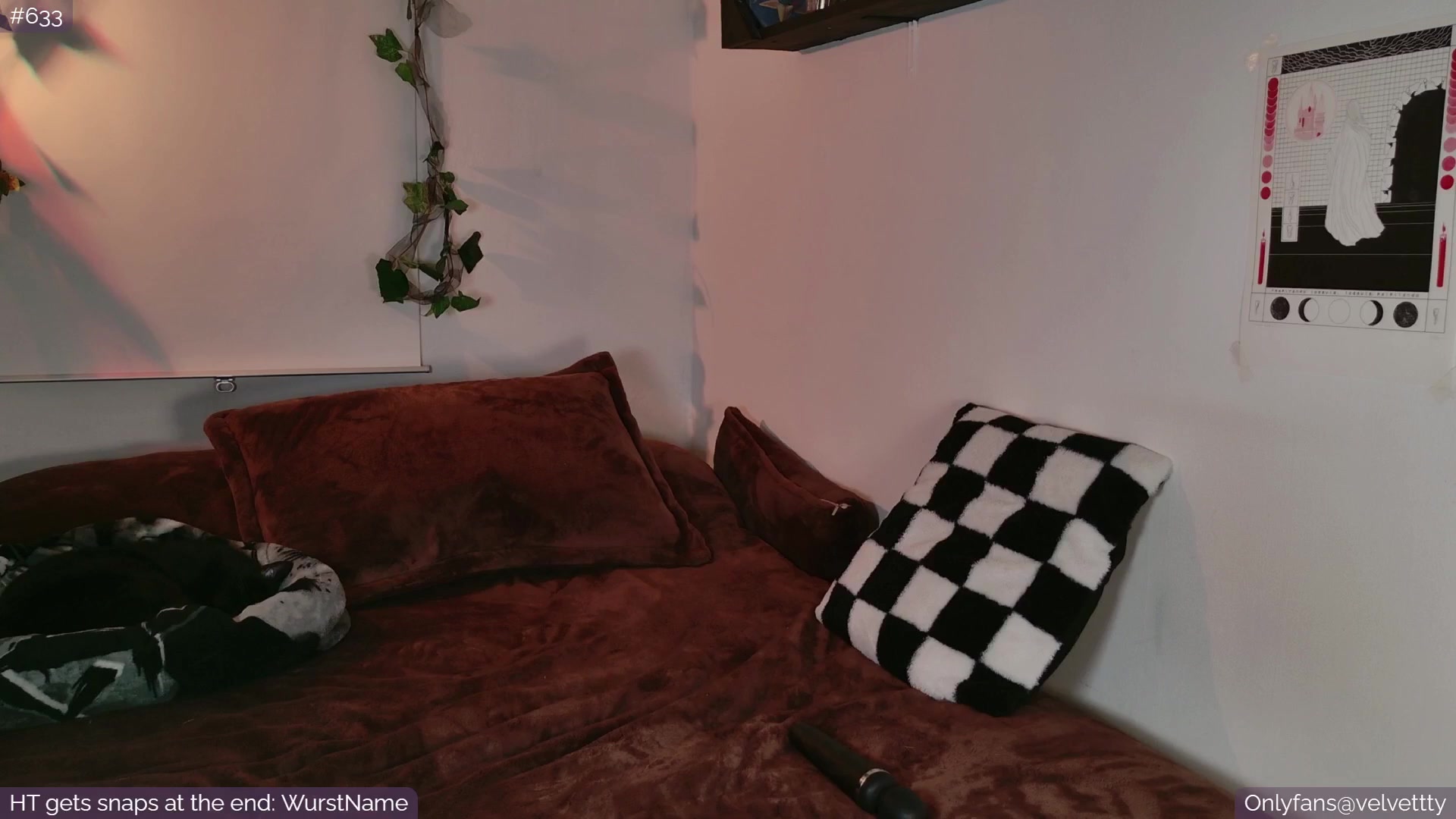 Gallery image thumbnail from Velvetty's myfreecams stream on, 09/10/2025, 05:05 image 11 of 20