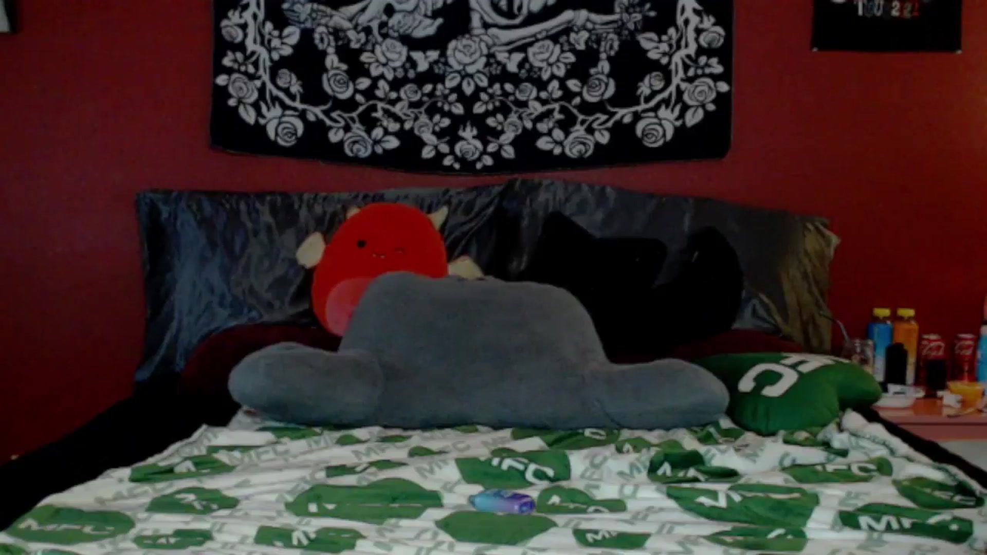 Gallery image thumbnail from VenusRose's myfreecams stream on, 05/28/2024, 12:29 image 16 of 20