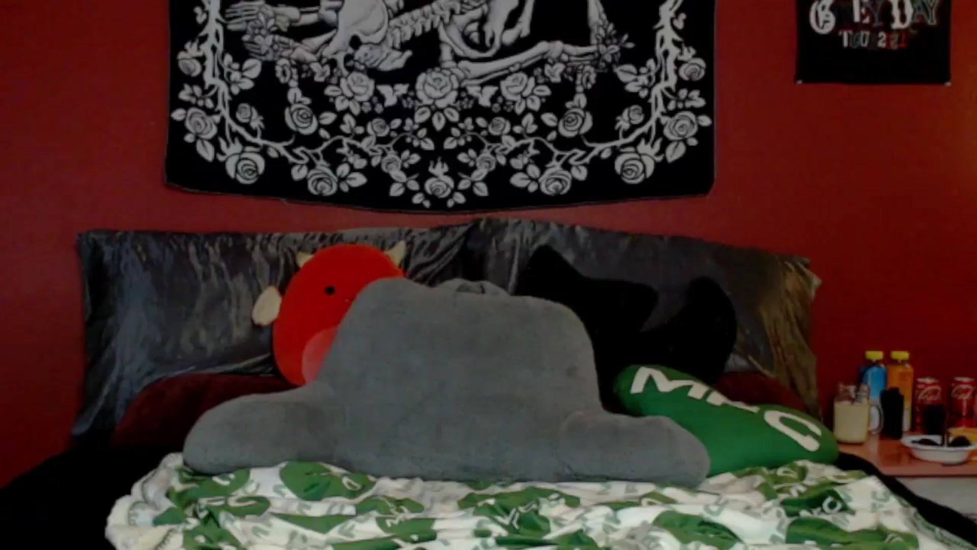 Gallery image thumbnail from VenusRose's myfreecams stream on, 05/28/2024, 12:29 image 9 of 20