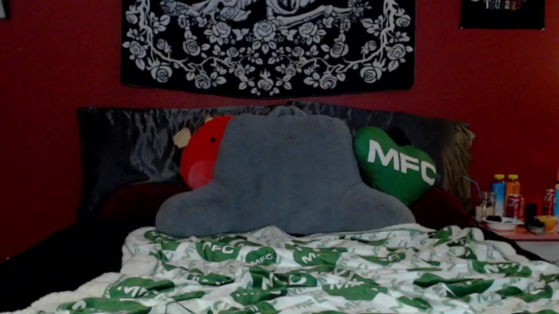 Gallery image thumbnail from VenusRose's myfreecams stream on, 05/28/2024, 12:29 image 20 of 20