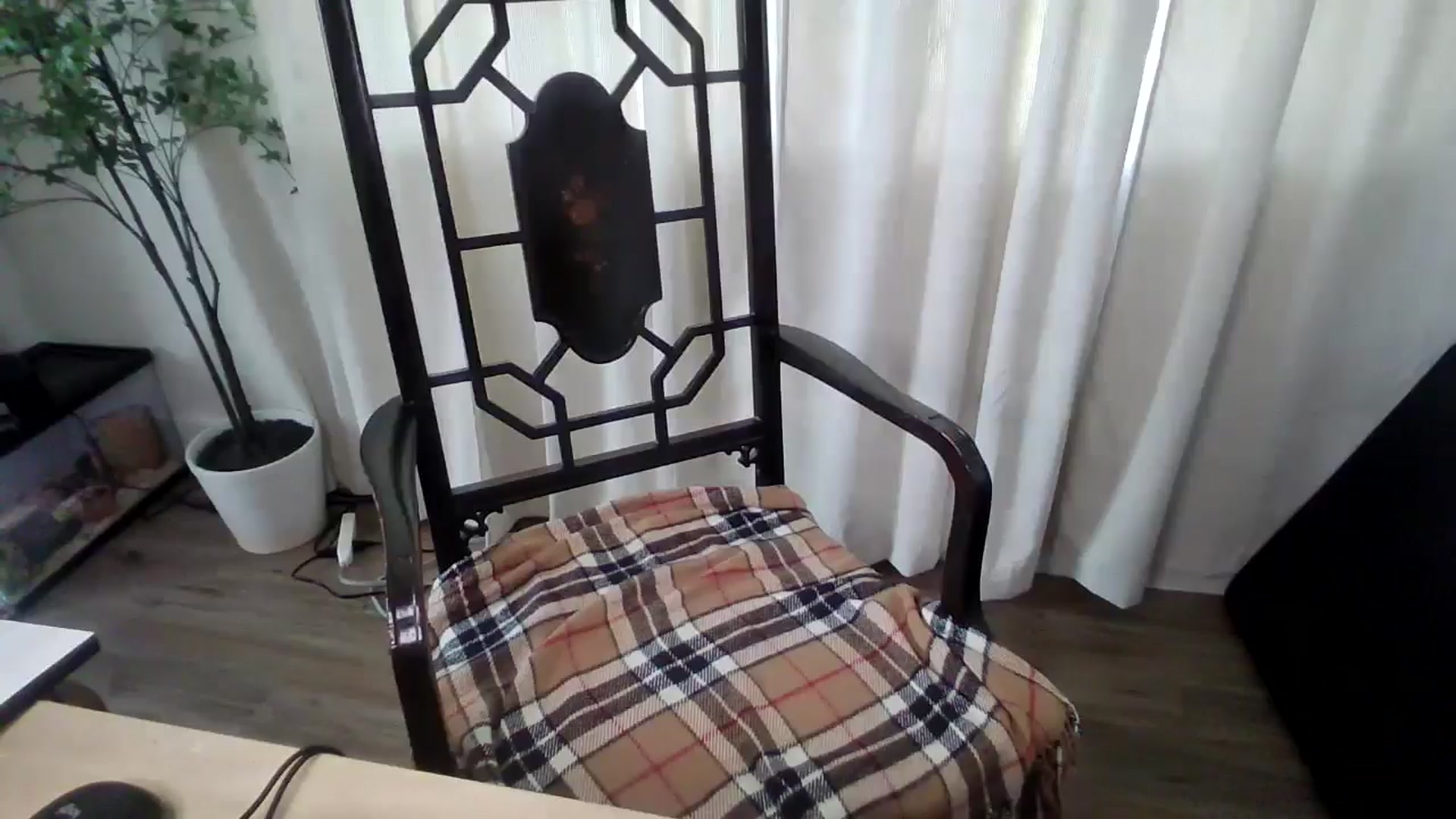 Gallery image thumbnail from Veravex's myfreecams stream on, 06/05/2025, 16:51 image 14 of 20