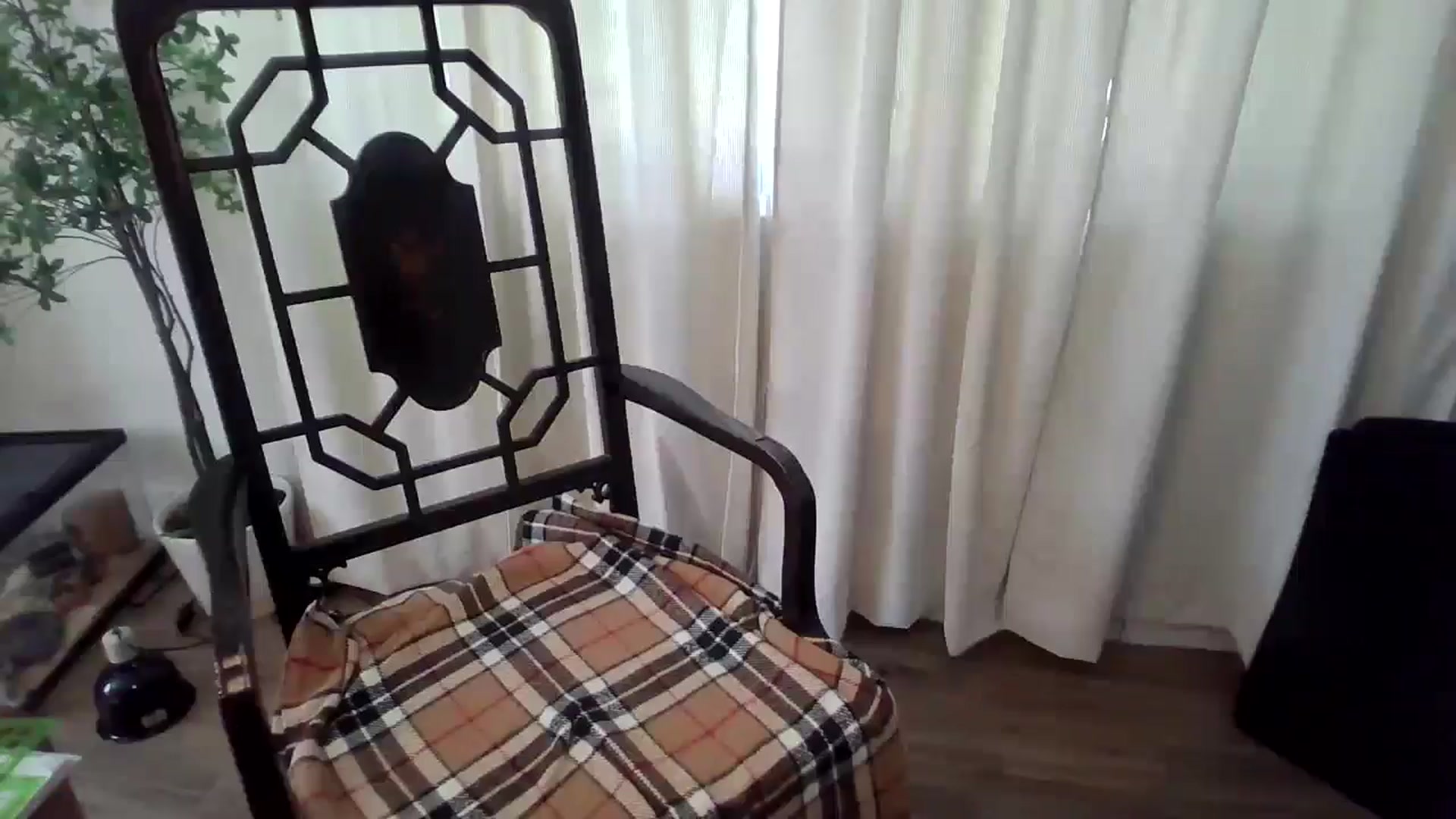 Gallery image thumbnail from Veravex's myfreecams stream on, 06/06/2025, 20:47 image 19 of 20