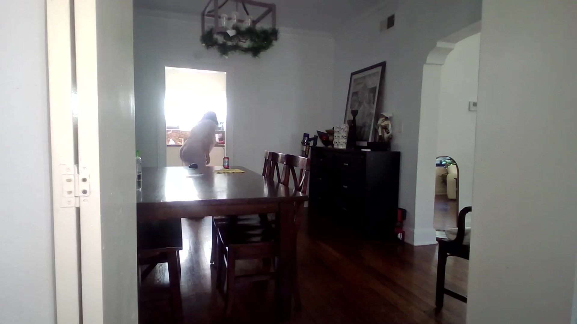 Gallery image thumbnail from Veravex's myfreecams stream on, 12/31/2025, 22:20 image 2 of 20