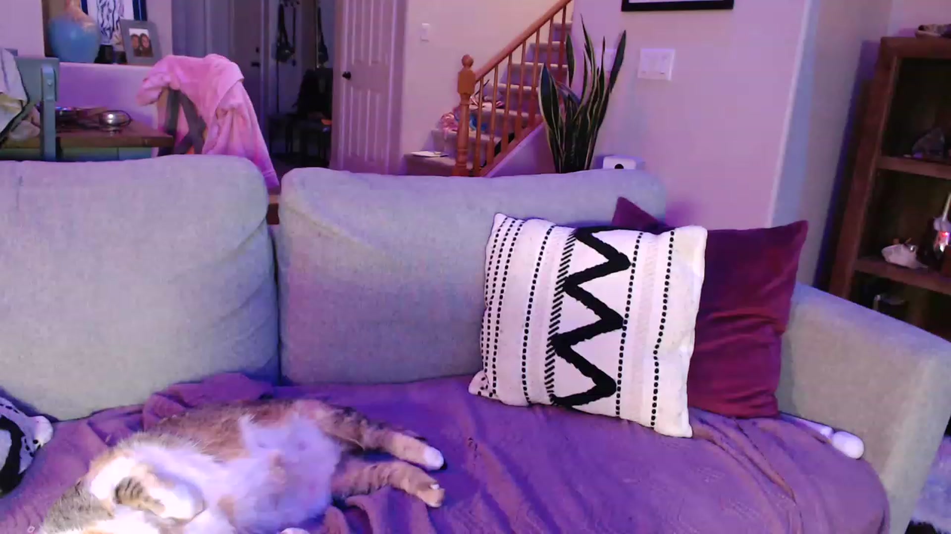 Gallery image thumbnail from VeronicaOMG's myfreecams stream on, 03/30/2023, 04:01 image 6 of 20