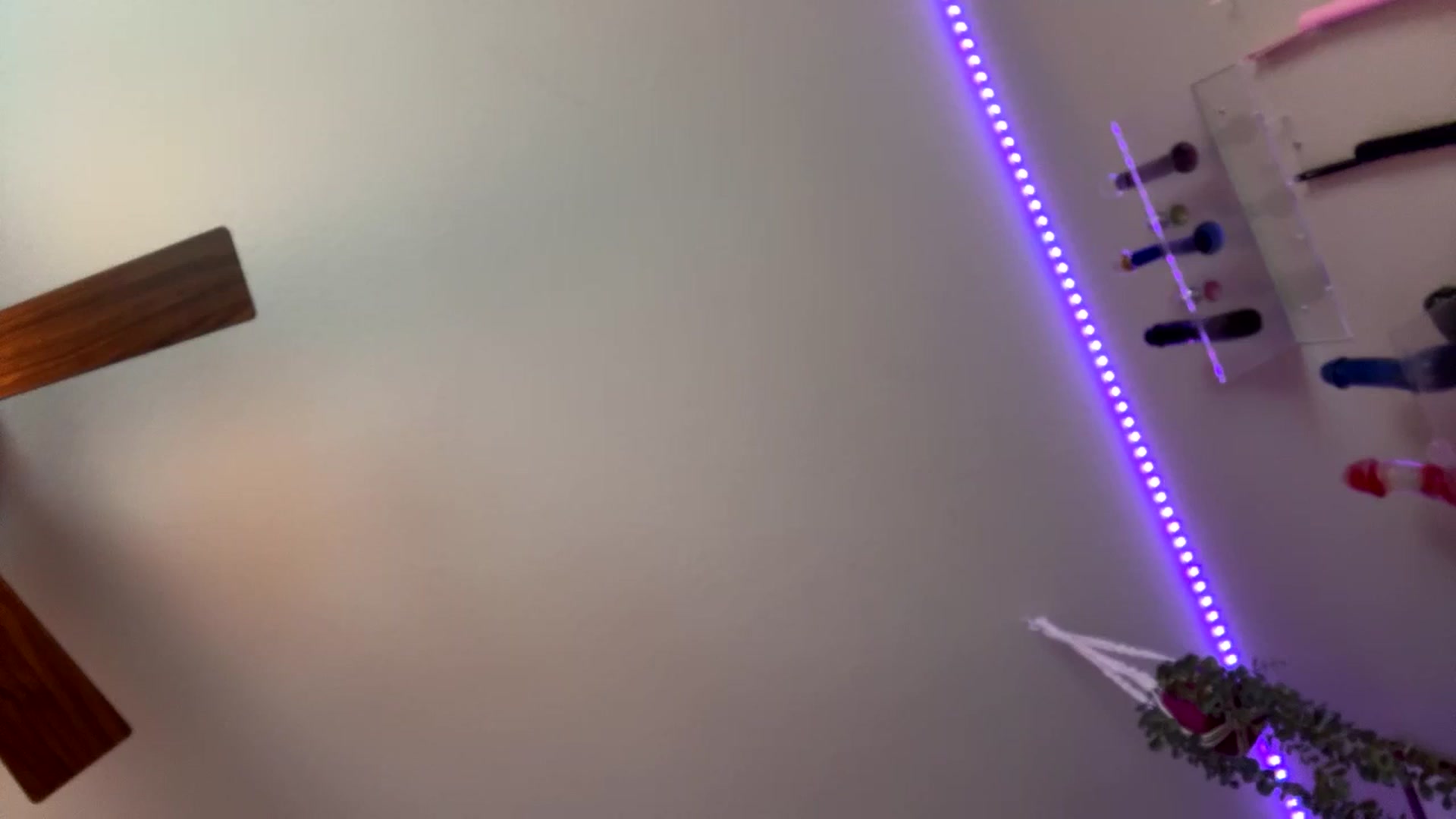 Gallery image thumbnail from VeronicaOMG's myfreecams stream on, 07/14/2024, 19:32 image 3 of 20
