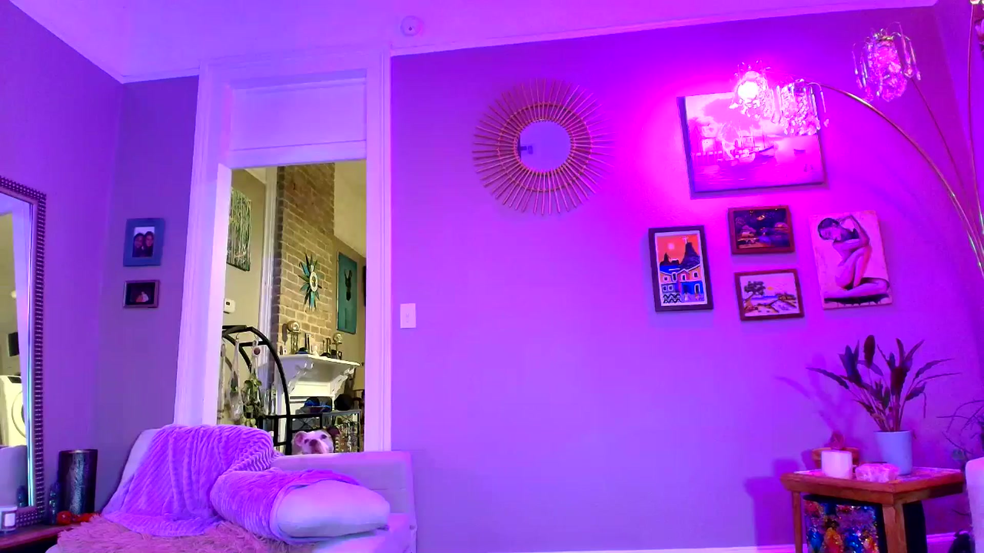 Gallery image thumbnail from VeronicaOMG's myfreecams stream on, 02/25/2026, 01:57 image 19 of 20