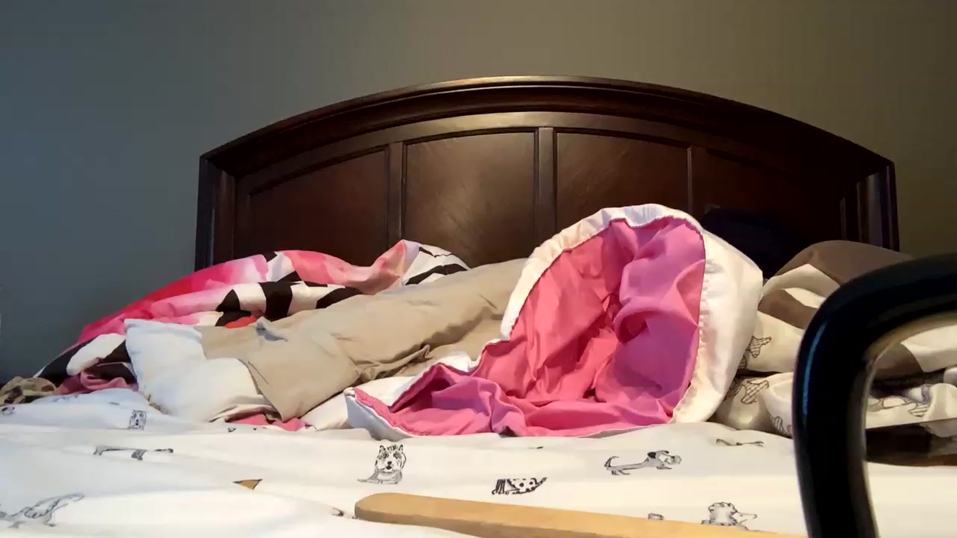 Gallery image thumbnail from VeronicaSkye's myfreecams stream on, 01/31/2023, 18:26 image 14 of 20