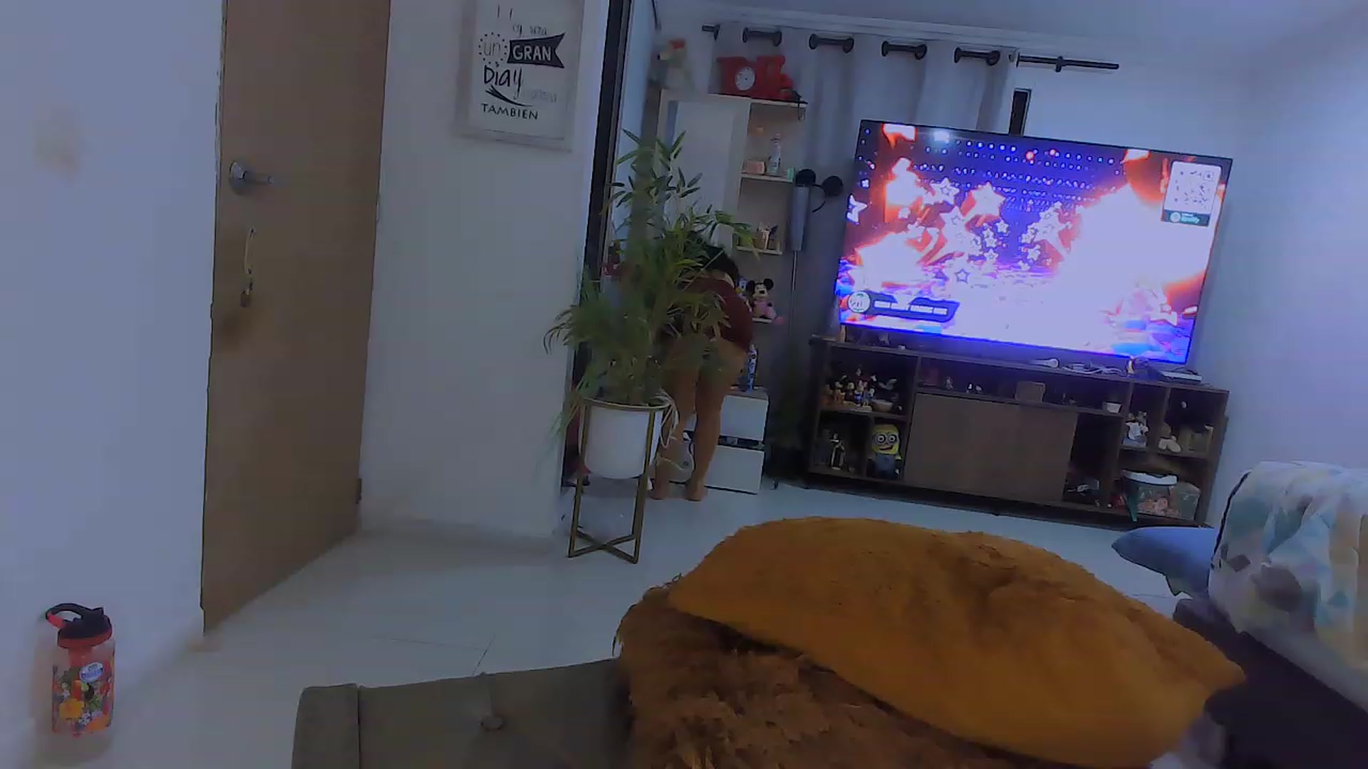 Gallery image thumbnail from Veronikahil's myfreecams stream on, 11/16/2022, 09:32 image 8 of 20