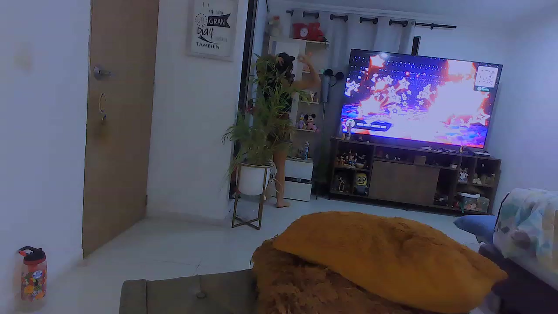 Gallery image thumbnail from Veronikahil's myfreecams stream on, 11/16/2022, 09:32 image 7 of 20