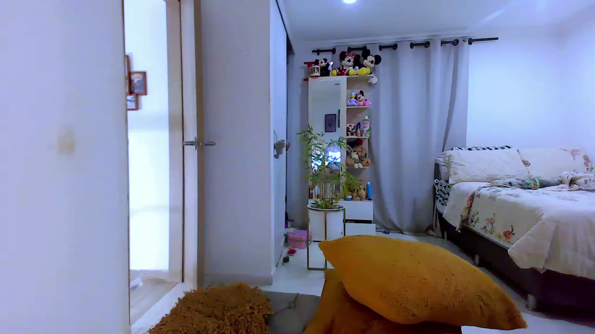 Gallery image thumbnail from Veronikahil's myfreecams stream on, 05/24/2023, 04:35 image 1 of 20