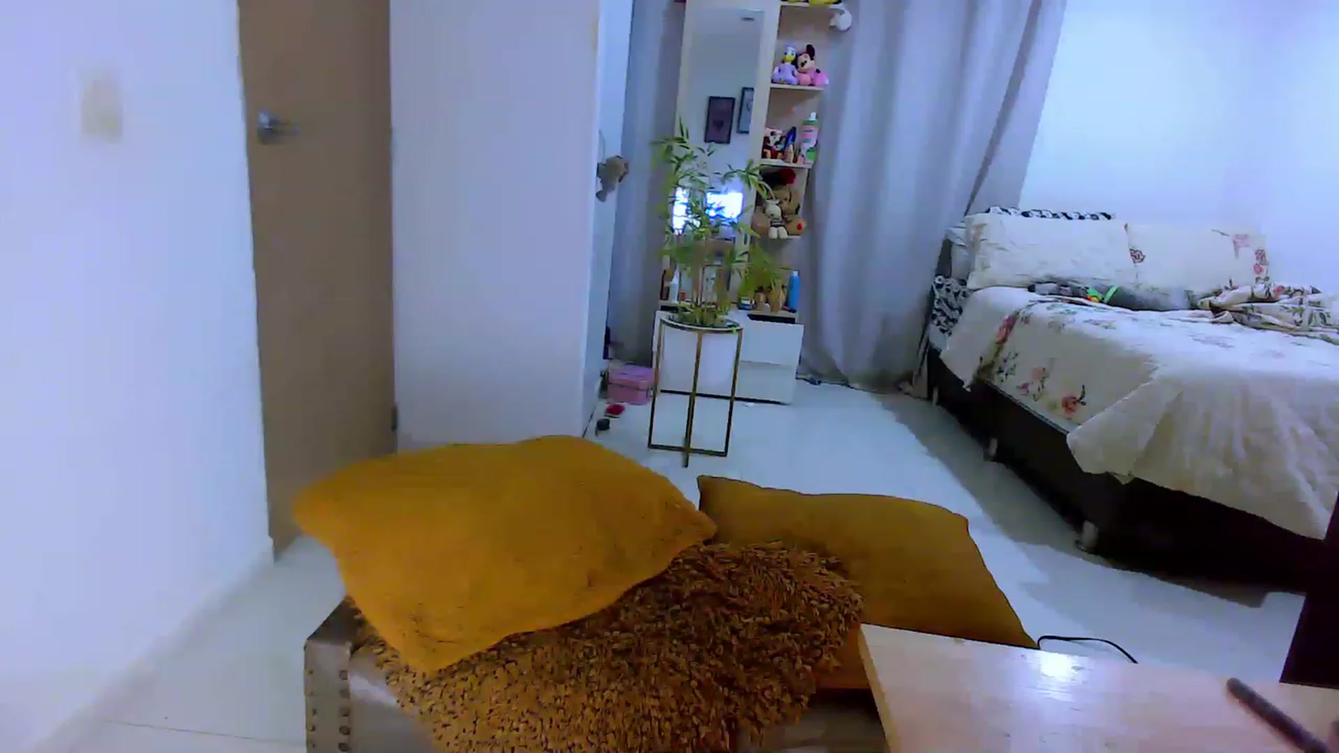Gallery image thumbnail from Veronikahil's myfreecams stream on, 05/24/2023, 04:35 image 20 of 20