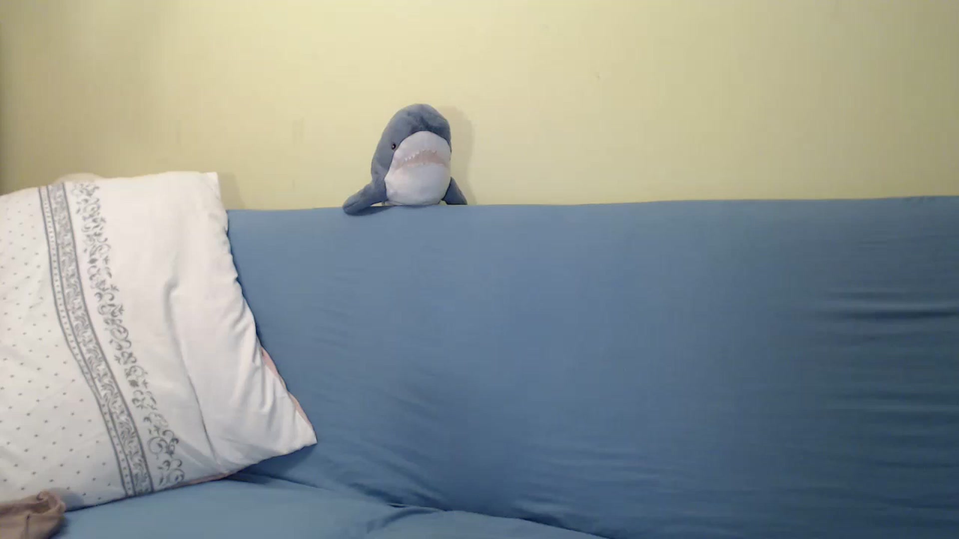 Gallery image thumbnail from Vesnyshka's myfreecams stream on, 02/17/2023, 18:46 image 12 of 20