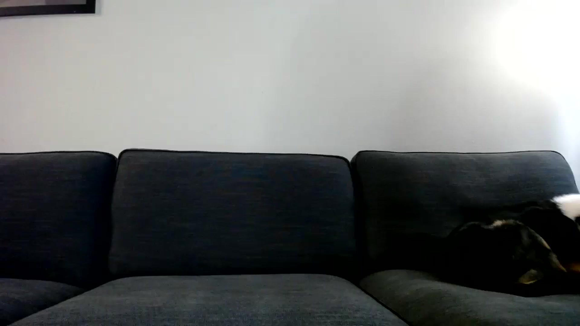 Gallery image thumbnail from ViVerdure's myfreecams stream on, 11/18/2023, 23:15 image 8 of 20